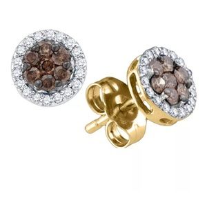10k Yellow Gold Brown Enhanced Diamond Earring 1/4
